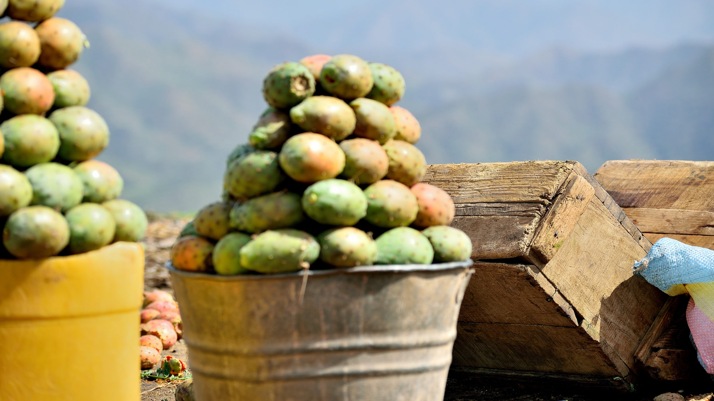 Eritrea [shutterstock]