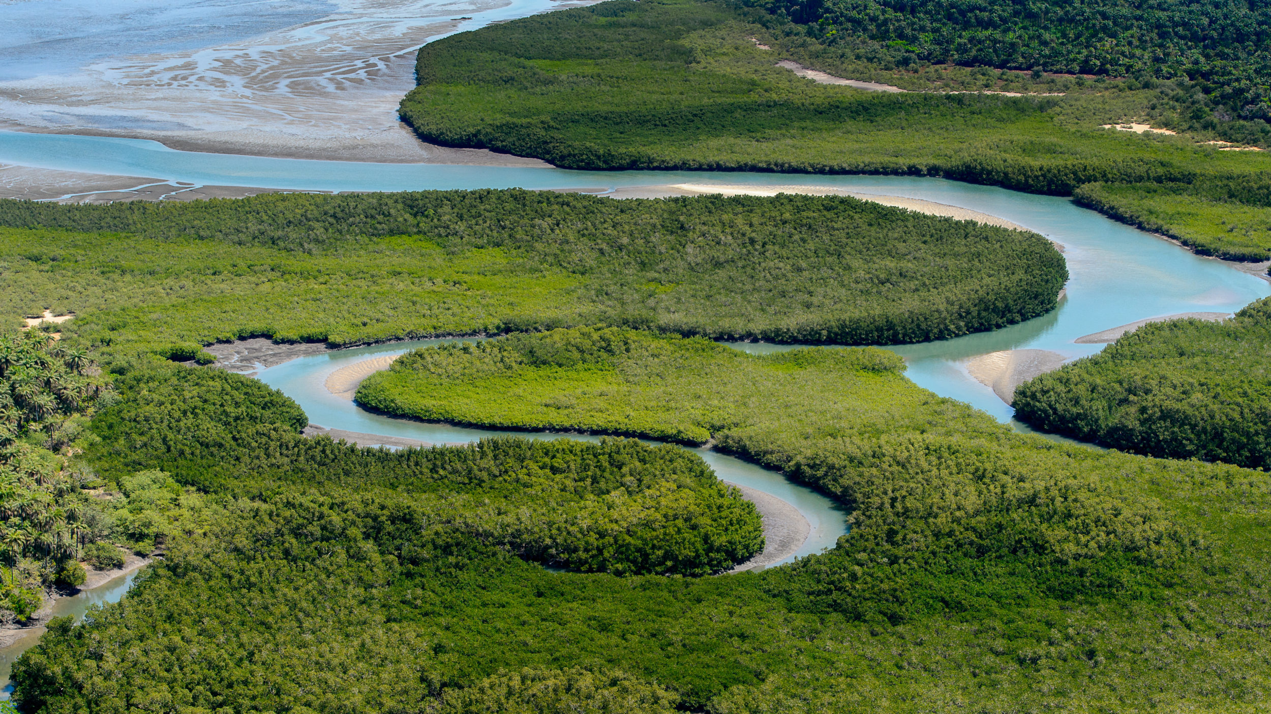 Guinea Bissau [shutterstock]