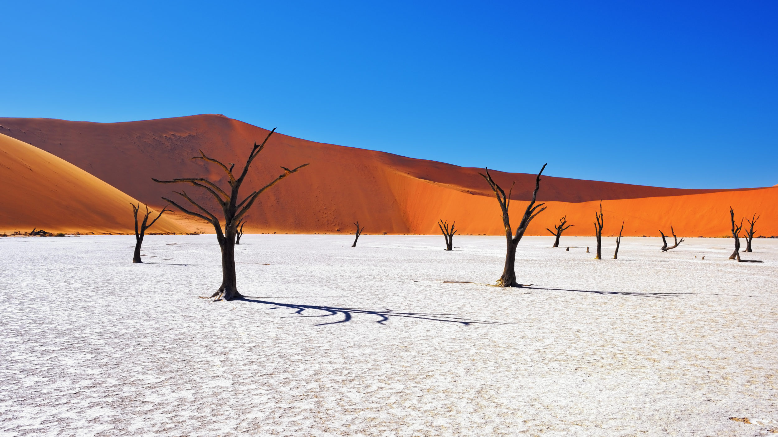 Namibia [shutterstock]