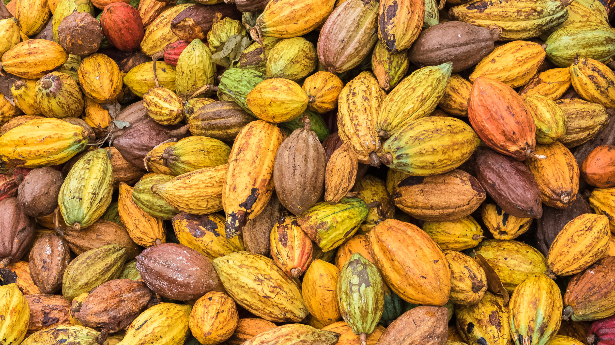 Sao Tome and Principe [shutterstock]