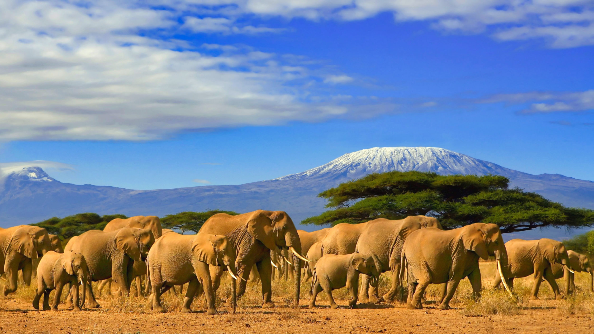 Tanzania [shutterstock]