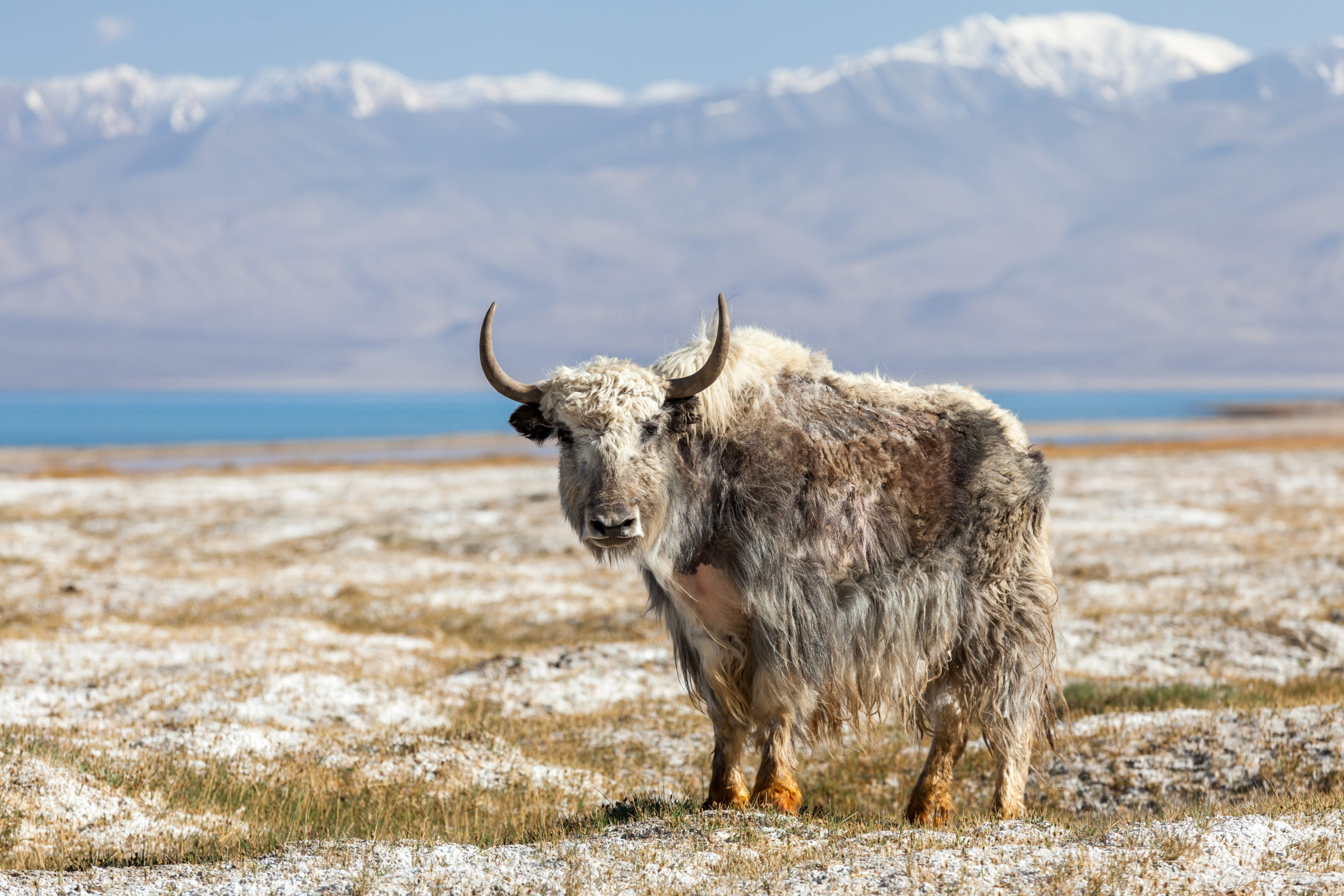 Tajikistan [Shutterstock]