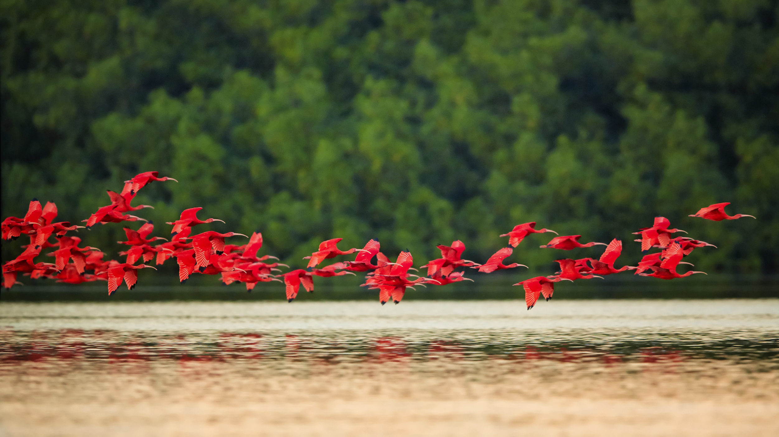 Trinidad And Tobago [Shutterstock]