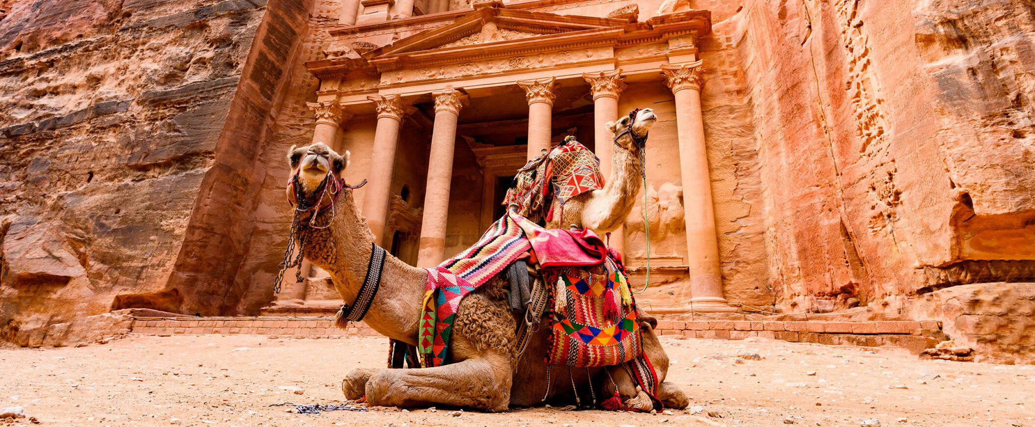 Spectacular view of two beautiful camels in front of Al Khazneh (The Treasury) at Petra. Petra is a historical and archaeological city in southern Jordan.