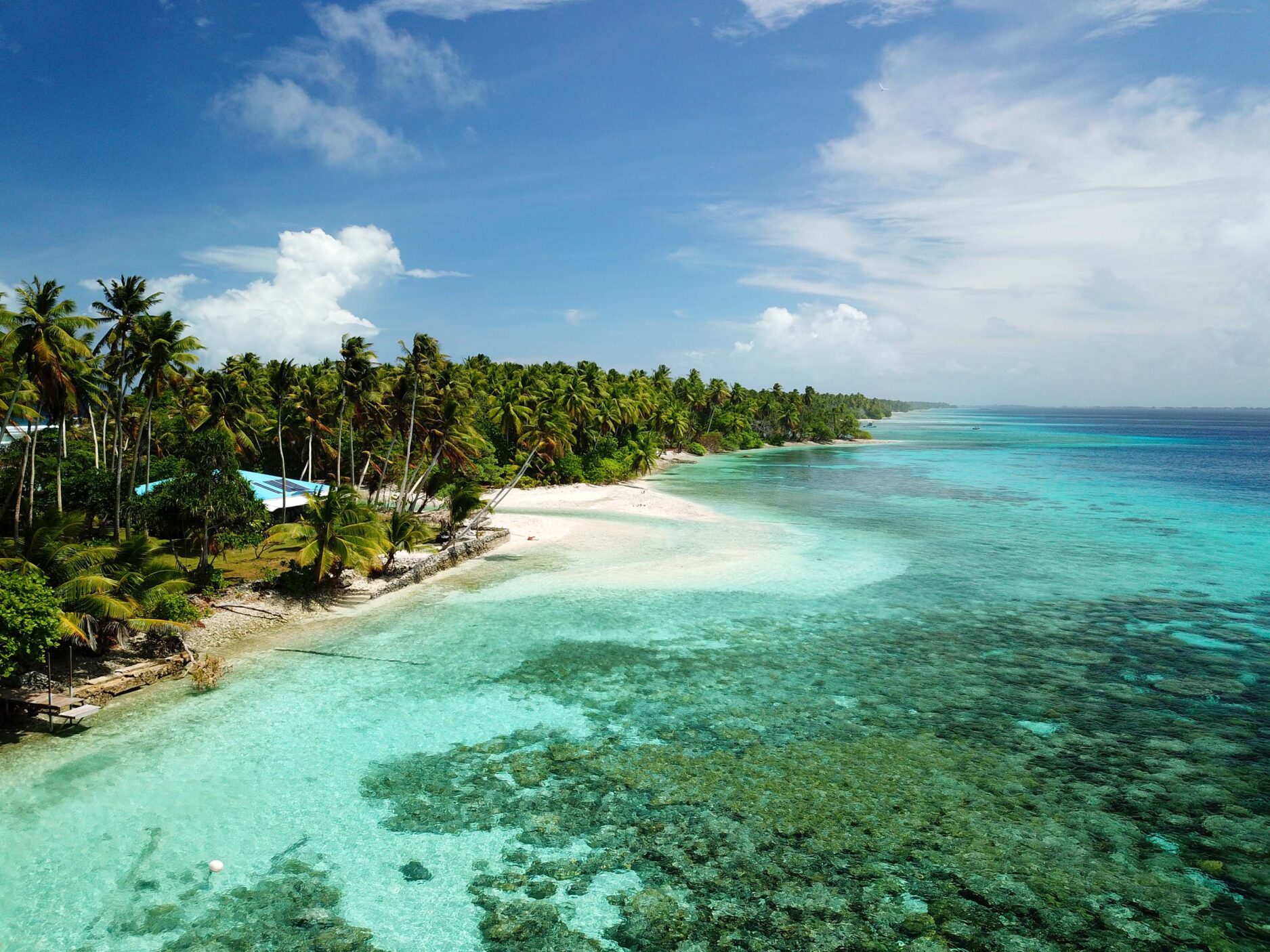Beach and ocean