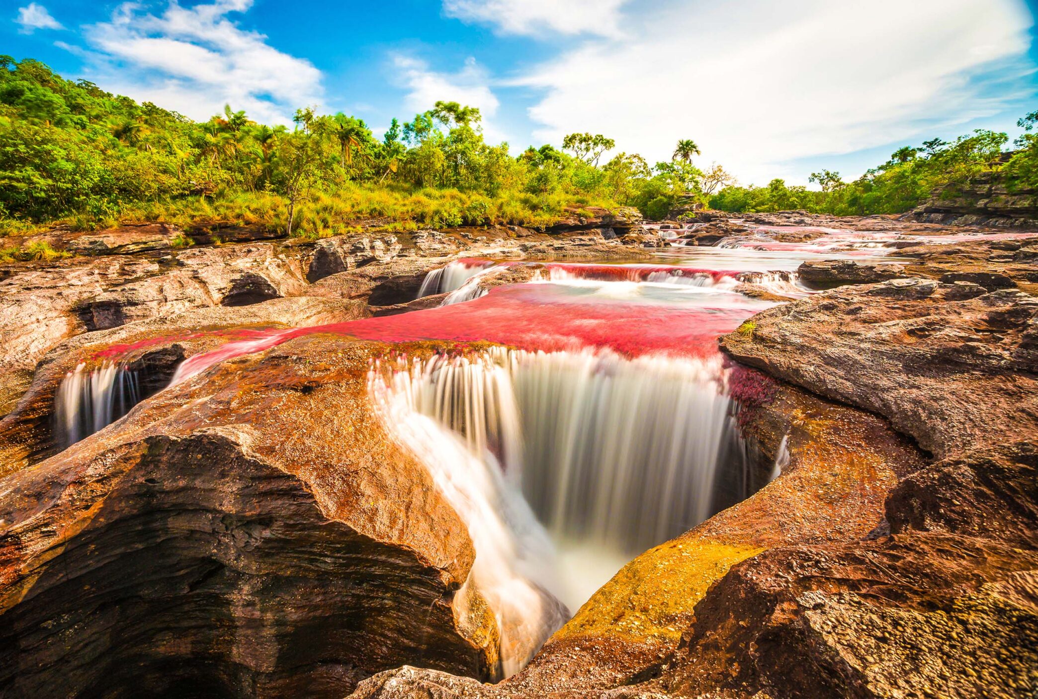 Multicolored river in Colombia, Cano Cristales